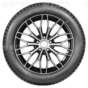 Green-Max Winter Grip Van 2